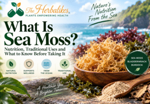 What Is Sea Moss? Nutrition, Traditional Uses and What to Know Before Taking It