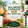 Sea Moss Capsules vs. Sea Moss Gel: What’s the Difference?