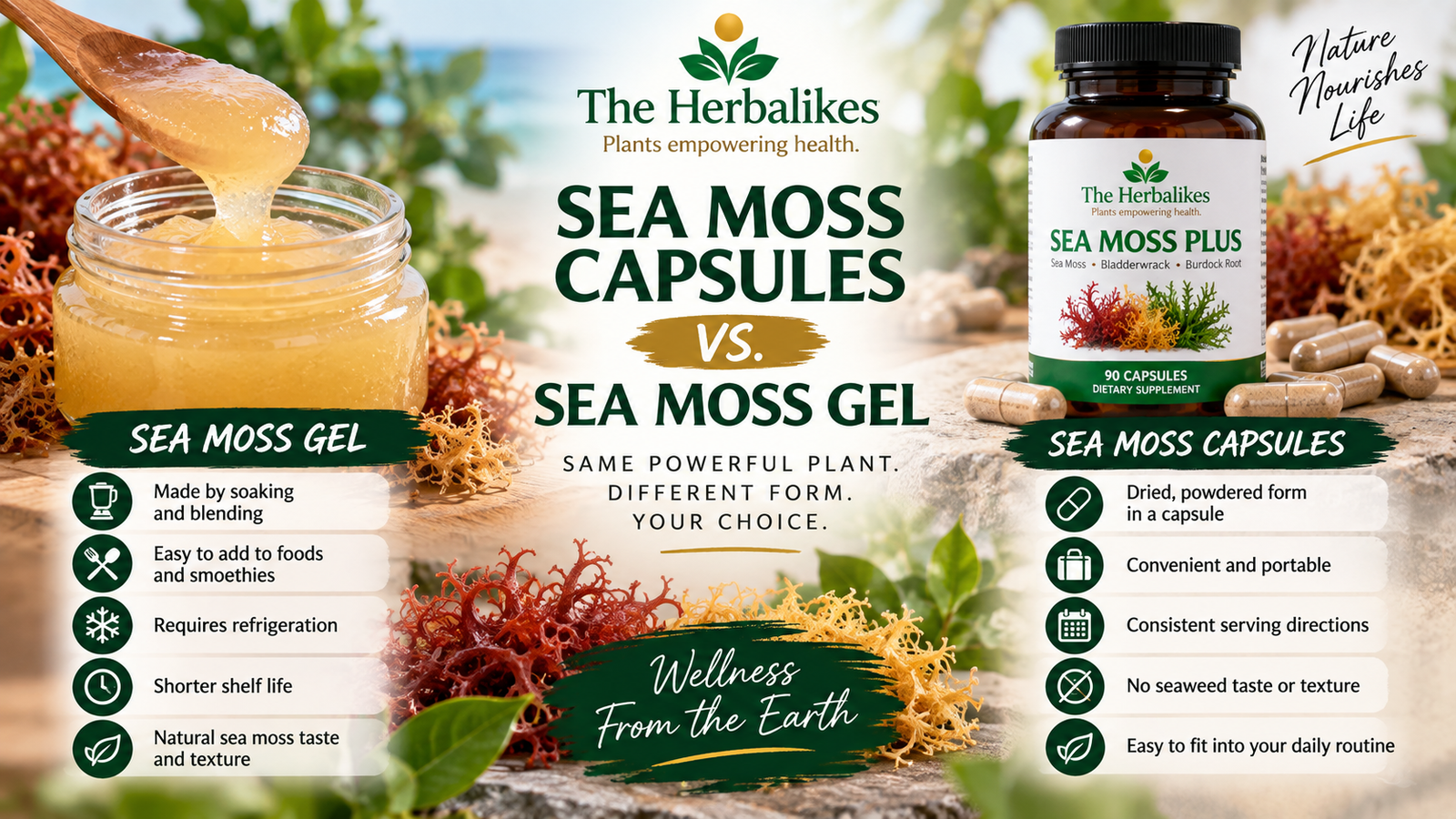 Sea Moss Capsules vs. Sea Moss Gel: What’s the Difference?